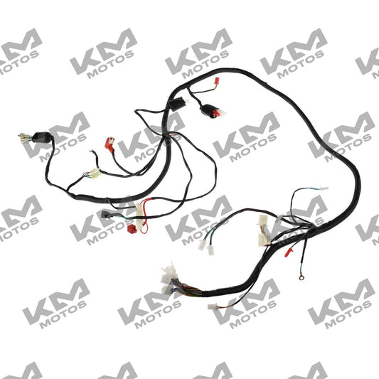 Arnés eléctrico principal Modena 150 Italika, sistema eléctrico original para motocicleta Italika en la imagen.
