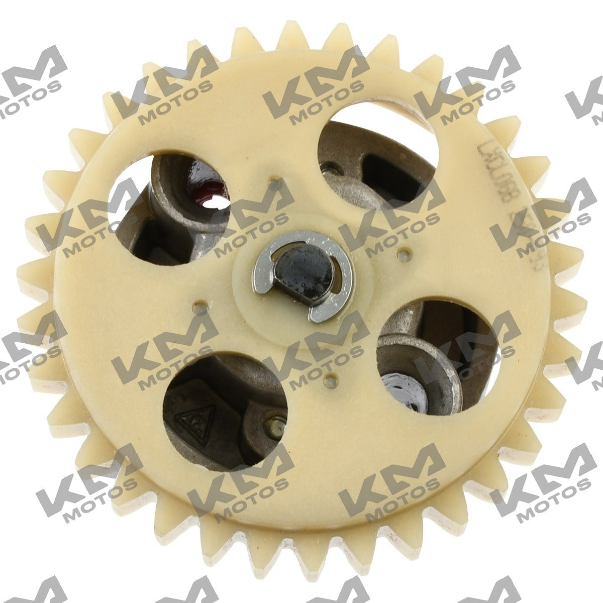 Bomba de Aceite Italika 250Z Original (E09010039)