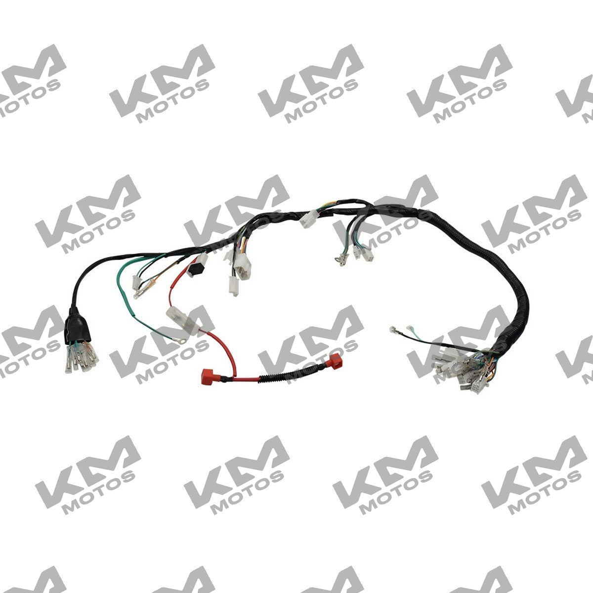 Arnés Eléctrico Principal Italika FT125, FT125 Sport, FORZA 125 (Original F06050017)