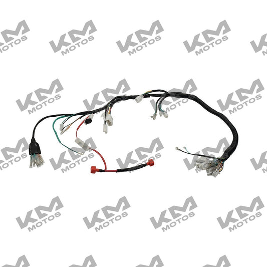 Arnés Eléctrico Principal Italika FT125, FT125 Sport, FORZA 125 (Original F06050017)