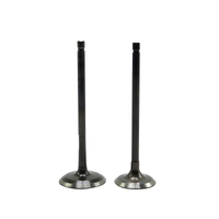 KIT DE VALVULAS PLATINA 125, DISCOVER 125/ DISCOVER 150