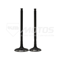 VALVULAS DE MOTOR YAMAHA FZ 2.0