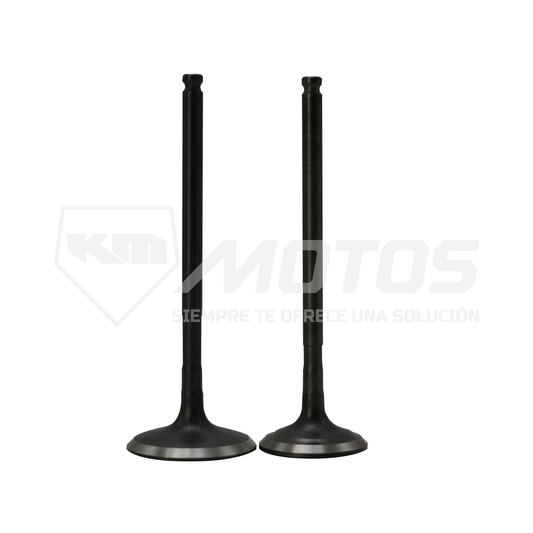 VALVULAS DE MOTOR YAMAHA FZ 2.0
