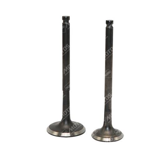 VALVULAS DE MOTOR YAMAHA CRUX110 (REV) (M.N)