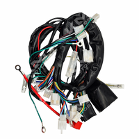 ARNES ELECTRICO ZX150L WIMMA KMS